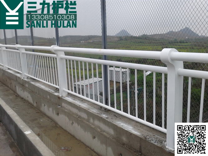 双龙中铁生态城桥梁人 行护栏